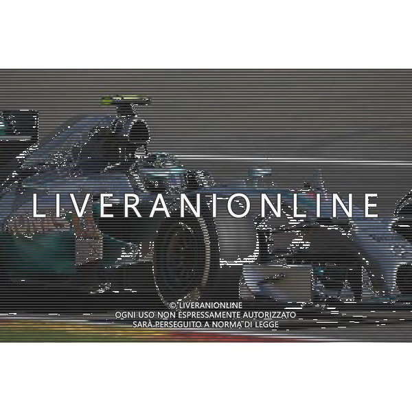 Nico Rosberg (GER) Mercedes AMG F1 W05. 24.08.2014. Formula 1 World Championship, Rd 12, Belgian Grand Prix, Spa Francorchamps, Belgium, Race Day. AG ALDO LIVERANI SAS ONLY ITALY