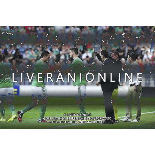 Mevlut ERDING - 24.08.2014 - Saint Etienne / Rennes - 3eme journee Ligue 1 Photo : Jean Paul Thomas / Icon Sport /Agenzia Aldo Liverani sas - ITALY ONLY - EDITORIAL USE ONLY