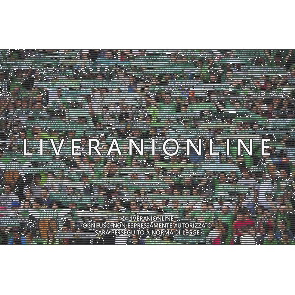 Supporters Saint Etienne - 24.08.2014 - Saint Etienne / Rennes - 3eme journee Ligue 1 Photo : Jean Paul Thomas / Icon Sport /Agenzia Aldo Liverani sas - ITALY ONLY - EDITORIAL USE ONLY