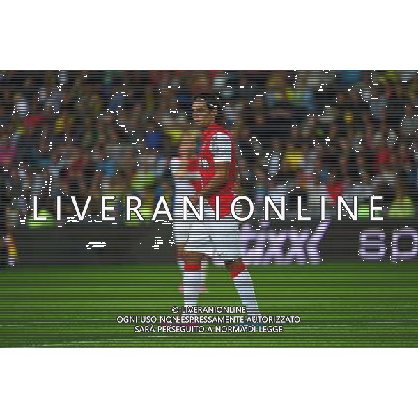 Radamel FALCAO - 24.08.2014 - Nantes / Monaco - 3e journee Ligue 1 Photo : Dave Winter / Icon Sport /Agenzia Aldo Liverani sas - ITALY ONLY - EDITORIAL USE ONLY