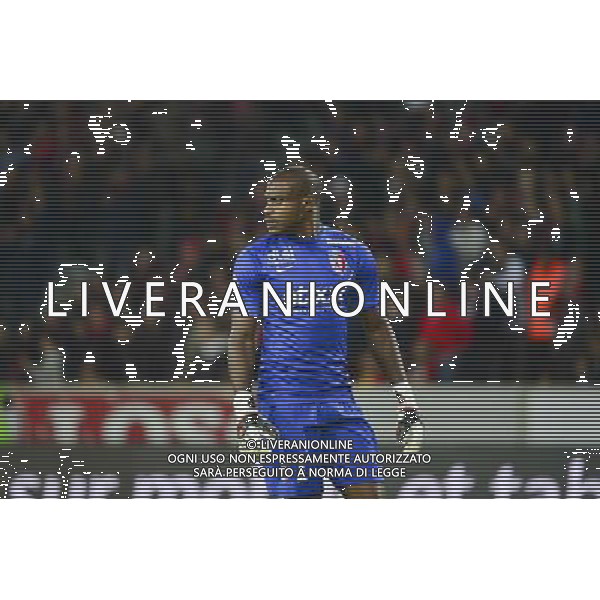 Vincent ENYEAMA - 23.08.2014 - Lille / Lorient - 3eme journee Ligue 1 Photo : Dave Winter / Icon Sport /Agenzia Aldo Liverani sas - ITALY ONLY - EDITORIAL USE ONLY