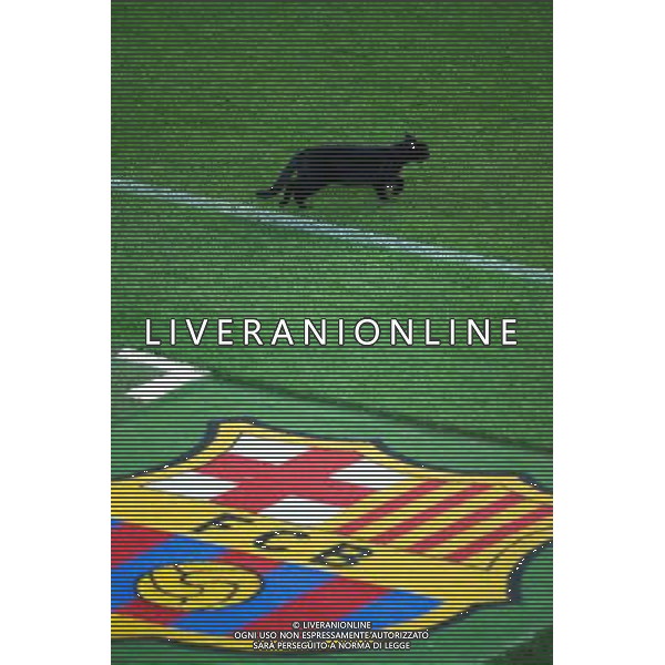 Chat sur la pelouse pendant le match - 24.08.2014 - Barcelone / Elche - 1ere journee Liga Photo : Aop press / Icon Sport AG ALDO LIVERANI SAS ONLY ITALY