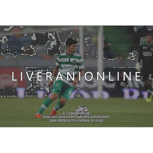 Andre Martins - 23.08.2014 - Sporting / Arouca - 2eme journee de Liga Sagres Photo : Carlos Rodrigues / Icon Sport *** Local Caption *** AG ALDO LIVERANI SAS ONLY ITALY *** Local Caption ***