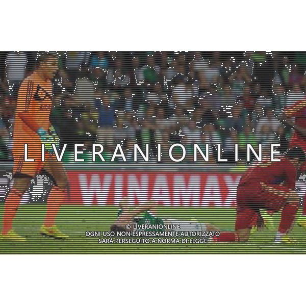 Ricky Van WOLFSWINKEL - 28.08.2014 - Saint Etienne / Karabukspor - Barrage Retour Europa League Photo : Jean Paul Thomas / Icon Sport AG ALDO LIVERANI SAS ONLY ITALY