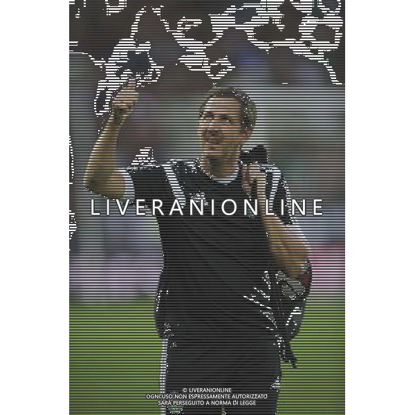 Fabrice GRANGE - 28.08.2014 - Saint Etienne / Karabukspor - Barrage retour Europa League Photo : Jean Paul Thomas / Icon Sport AG ALDO LIVERANI SAS ONLY ITALY