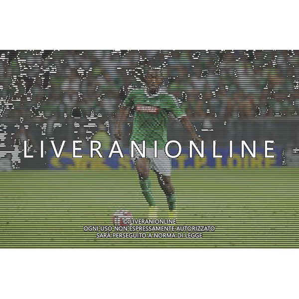 Kevin THEOPHILE CATHERINE - 28.08.2014 - Saint Etienne / Karabukspor - Barrage retour Europa League Photo : Jean Paul Thomas / Icon Sport AG ALDO LIVERANI SAS ONLY ITALY