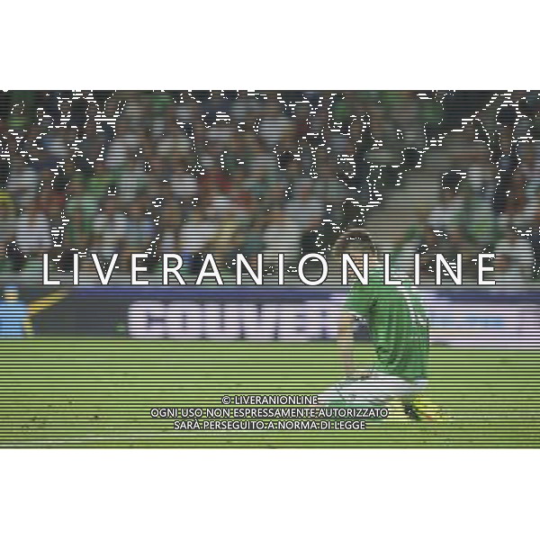 Ricky VAN WOLFSWINKEL - 28.08.2014 - Saint Etienne / Karabukspor - Barrage retour Europa League Photo : Jean Paul Thomas / Icon Sport AG ALDO LIVERANI SAS ONLY ITALY