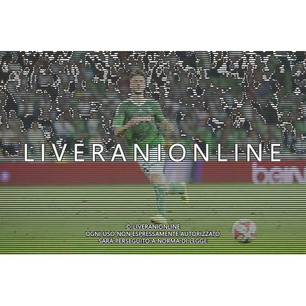 Ricky VAN WOLFSWINKEL - 28.08.2014 - Saint Etienne / Karabukspor - Barrage retour Europa League Photo : Jean Paul Thomas / Icon Sport AG ALDO LIVERANI SAS ONLY ITALY