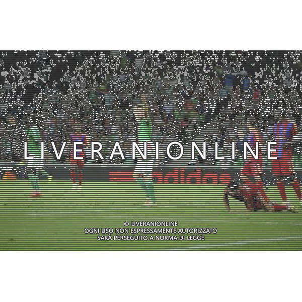 Ricky VAN WOLFSWINKEL - 28.08.2014 - Saint Etienne / Karabukspor - Barrage retour Europa League Photo : Jean Paul Thomas / Icon Sport AG ALDO LIVERANI SAS ONLY ITALY