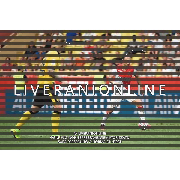 Dimitar BERBATOV - 30.08.2014 - Monaco / Lille - 4eme journee de Ligue 1 - Photo : Olivier Anrigo / Icon Sport AG ALDO LIVERANI SAS ONLY ITALY