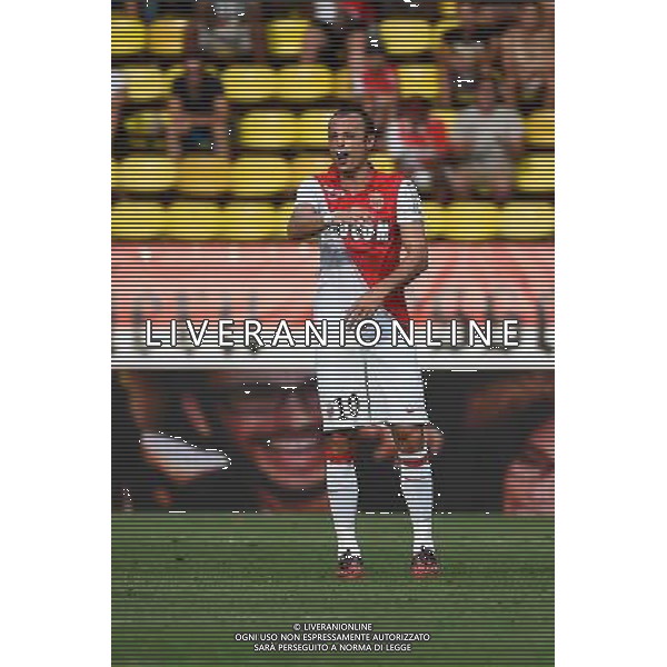 Dimitar BERBATOV - 30.08.2014 - Monaco / Lille - 4eme journee de Ligue 1 - Photo : Olivier Anrigo / Icon Sport AG ALDO LIVERANI SAS ONLY ITALY