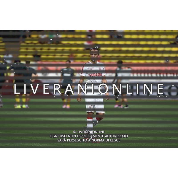 Dimitar BERBATOV - 30.08.2014 - Monaco / Lille - 4eme journee de Ligue 1 - Photo : Olivier Anrigo / Icon Sport AG ALDO LIVERANI SAS ONLY ITALY