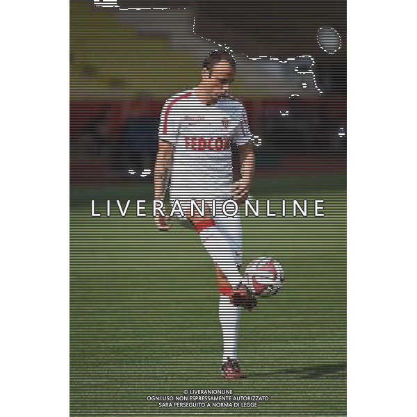 Dimitar BERBATOV - 30.08.2014 - Monaco / Lille - 4eme journee de Ligue 1 - Photo : Olivier Anrigo / Icon Sport AG ALDO LIVERANI SAS ONLY ITALY