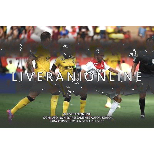 Joao MOUTINHO - 30.08.2014 - Monaco / Lille - 4eme journee de Ligue 1 - Photo : Olivier Anrigo / Icon Sport AG ALDO LIVERANI SAS ONLY ITALY
