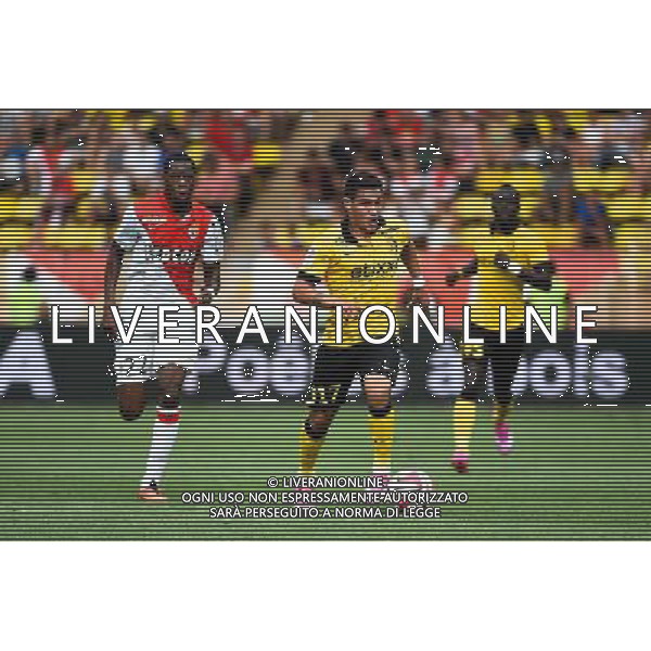 Marco LOPES - 30.08.2014 - Monaco / Lille - 4eme journee de Ligue 1 - Photo : Olivier Anrigo / Icon Sport AG ALDO LIVERANI SAS ONLY ITALY
