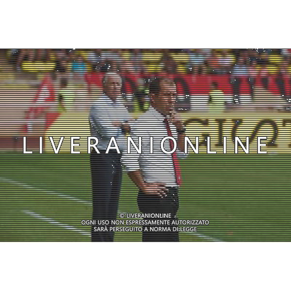 Rene GIRARD / Leonardo JARDIM - 30.08.2014 - Monaco / Lille - 4eme journee de Ligue 1 - Photo : Olivier Anrigo / Icon Sport AG ALDO LIVERANI SAS ONLY ITALY