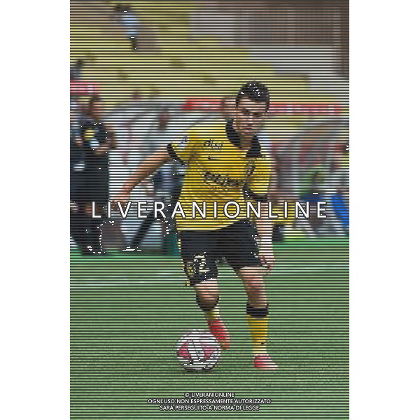 Sebastien CORCHIA - 30.08.2014 - Monaco / Lille - 4eme journee de Ligue 1 - Photo : Olivier Anrigo / Icon Sport AG ALDO LIVERANI SAS ONLY ITALY
