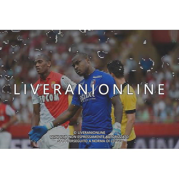 Vincent ENYEAMA - 30.08.2014 - Monaco / Lille - 4eme journee de Ligue 1 - Photo : Olivier Anrigo / Icon Sport AG ALDO LIVERANI SAS ONLY ITALY