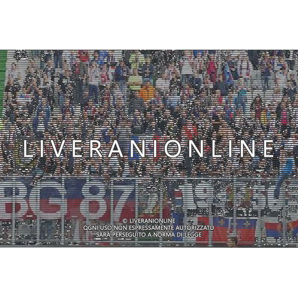 supporters Lyon - 31.08.2014 - Metz / Lyon - 4eme journee de Ligue 1 Photo : Fred Marvaux / Icon Sport AG ALDO LIVERANI SAS ONLY ITALY