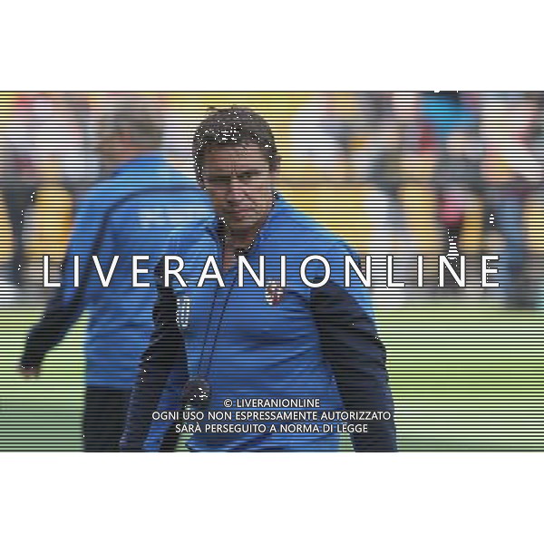 Robert DUVERNE - 31.08.2014 - Metz / Lyon - 4eme journee de Ligue 1 Photo : Fred Marvaux / Icon Sport AG ALDO LIVERANI SAS ONLY ITALY