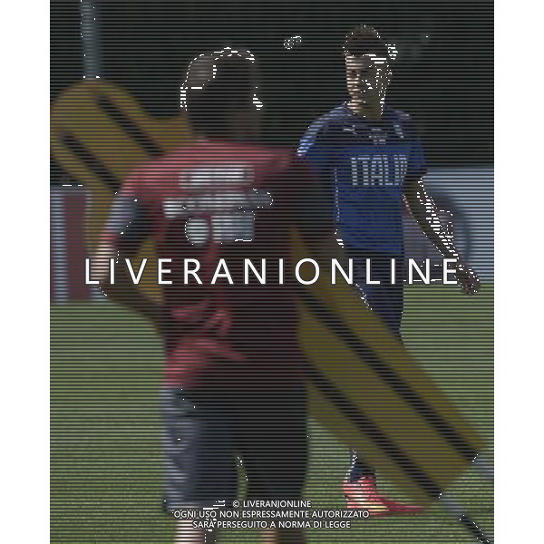 Raduno Nazionale Italiana Firenze - 01.09.2014 Allenamento Nella Foto:el shaarawy conte /Ph.Vitez-Ag. Aldo Liverani