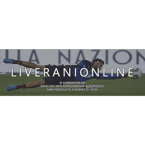 Amichevole Bari - 04.09.2014 Italia-Olanda Nella Foto:Sirigu Salvatore /Ph.Vitez-Ag. Aldo Liverani