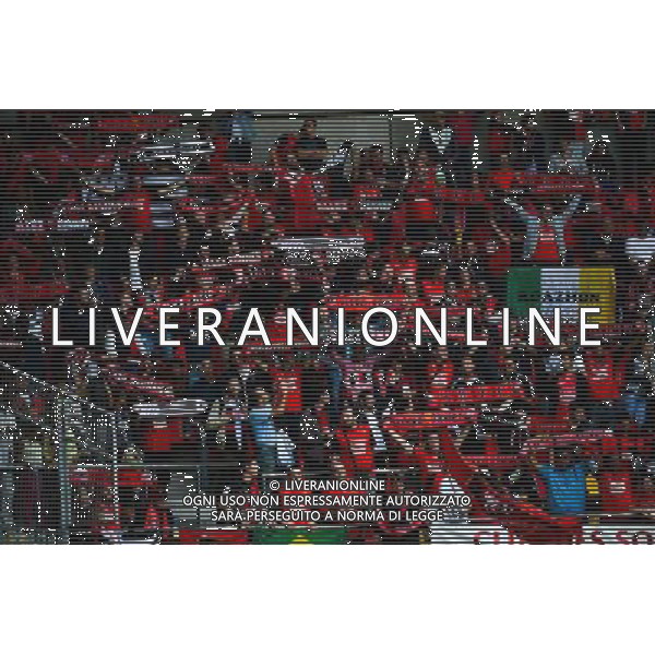 Supporters de Rennes - 30.08.2014 - Caen / Rennes - 4eme journee de Ligue 1 - Photo : Dave Winter / Icon Sport AG ALDO LIVERANI SAS ONLY ITALY