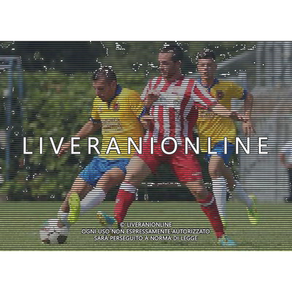 PIACENZA 7 SETTEMBRE 2014 / CAMPIONATO LEGAPRO 2014-2015 / PRO PIACENZA VS FORL“ / NELLA FOTO: PORCINO E ARRIGONI / FOTO FRANCESCA SOLI - AGENZIA ALDO LIVERANI SAS