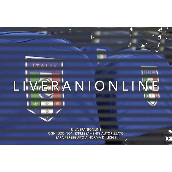 Qualificazioni ai Campionati Europei di Calcio UEFA Francia 2016 Gruppo H Oslo - 09.10.2014 Norvegia-Italia Nella Foto:Italia panchina logo particolare /Ph.Vitez-Ag. Aldo Liverani