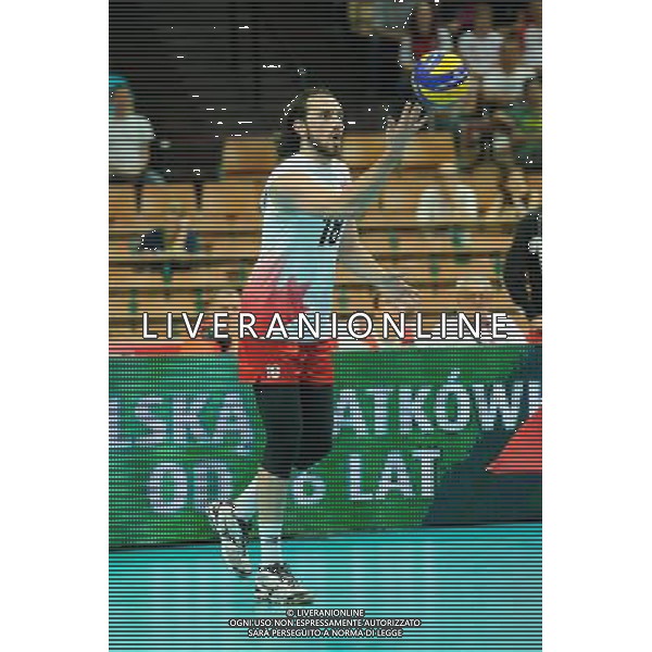13.09.2014 - Katowice , Spodek , siatkowka , Mistrzostwa Swiata 2014 , grupa F Brazylia (niebieskie) - Kanada (biale) , FIVB Men\'s World Championship , pool F Brazil (blue) - Canada (white) N/Z Nicholas Hoag Fot. Karol Bartnik / MPAimages.com / NEWSPIX.PL --- Newspix.pl AG ALDO LIVERANI SAS ONLY ITALY *** Local Caption *** www.newspix.pl mail us: info@newspix.pl call us: 0048 022 23 22 222 --- Polish Picture Agency by Ringier Axel Springer Poland