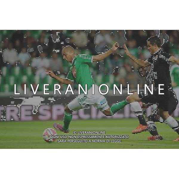 Kevin MONNET PAQUET - 13.09.2014 - Soint Etienne / Caen - 5eme journee de Ligue 1 Photo : Jean Paul Thomas / Icon Sport AG ALDO LIVERANI SAS ONLY ITALY