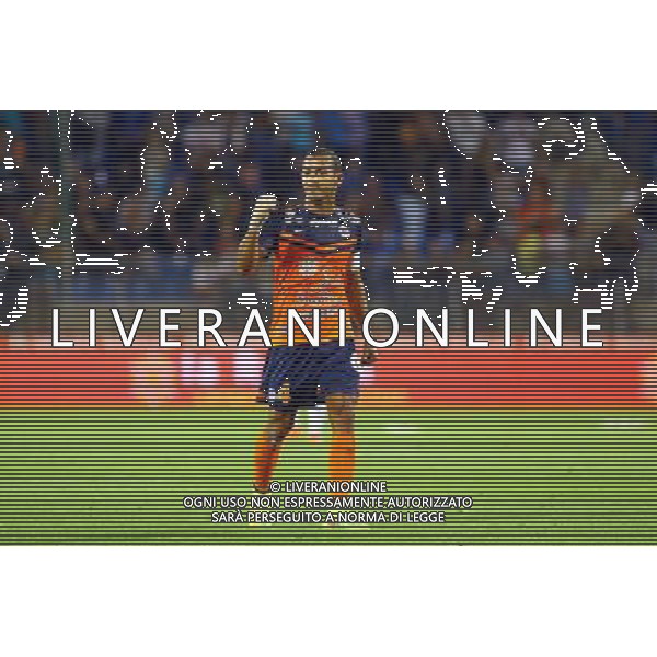 joie Vitorino HILTON - 13.09.2014 - Montpellier / Lorient - 5eme journee de Ligue 1 Photo : Nicolas Guyonnet / Icon Sport ag aldo liverani sas only italy