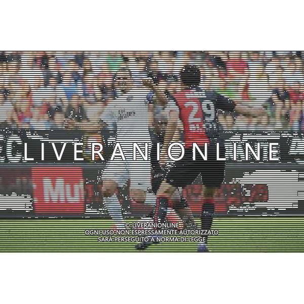 Zlatan IBRAHIMOVIC / Gelson TAVARES - 13.09.2014 - Rennes / Paris Saint Germain - 5eme journee de Ligue 1 Photo : Fred Porcu / Icon Sport AG ALDO LIVERANI SAS ONLY ITALY