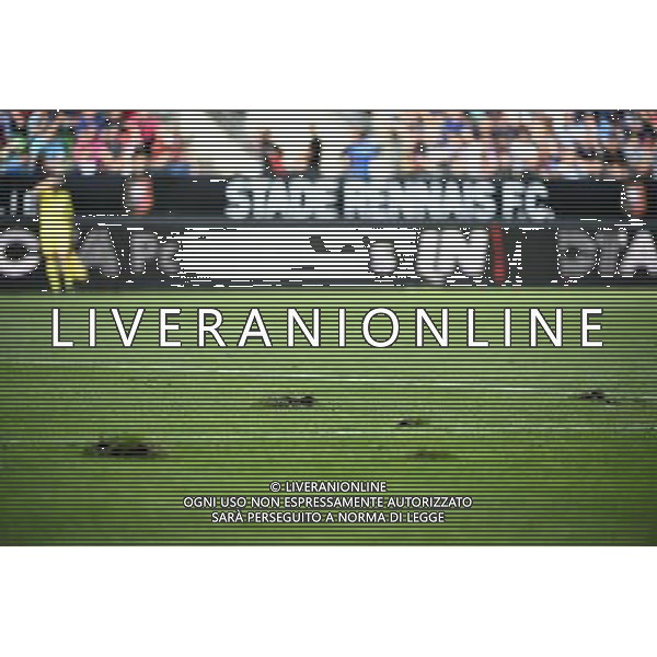 Illustration Pelouse Stade Route de Lorient - 13.09.2014 - Rennes / Paris Saint Germain - 5eme journee de Ligue 1 Photo : Fred Porcu / Icon Sport AG ALDO LIVERANI SAS ONLY ITALY