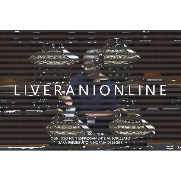Seduta Comune per l\'Elezione del CSM alla Camera Roma 15 settembre 2014 nella foto Anna Finocchiaro ©Corradetti/Agenzia Aldo Liverani sas