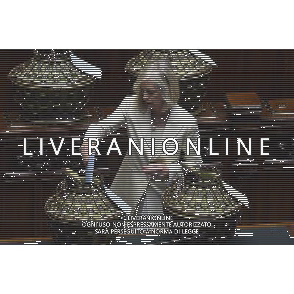Seduta Comune per l\'Elezione del CSM alla Camera Roma 15 settembre 2014 nella foto Stefania Giannini ©Corradetti/Agenzia Aldo Liverani sas