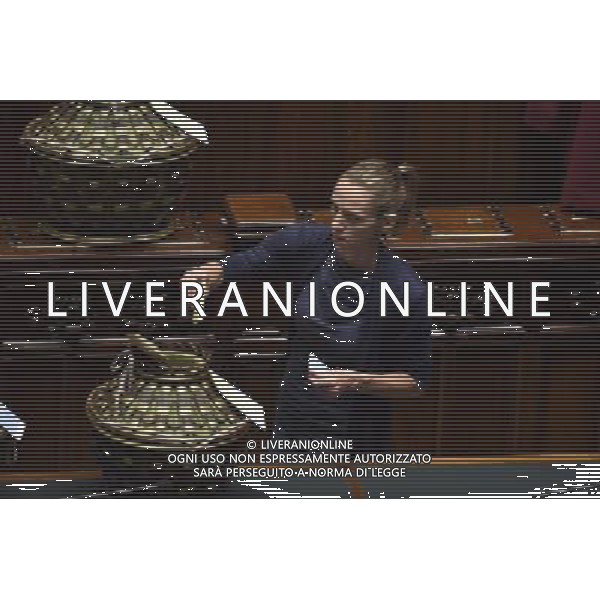 Seduta Comune per l\'Elezione del CSM alla Camera Roma 15 settembre 2014 nella foto Valentina Vezzali Â©Corradetti/Agenzia Aldo Liverani sas