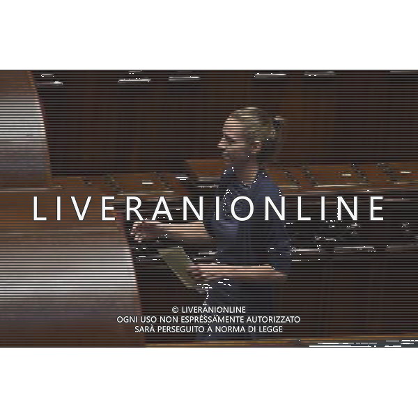 Seduta Comune per l\'Elezione del CSM alla Camera Roma 15 settembre 2014 nella foto Valentina Vezzali Â©Corradetti/Agenzia Aldo Liverani sas