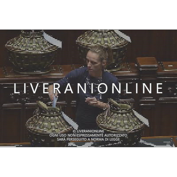 Seduta Comune per l\'Elezione del CSM alla Camera Roma 15 settembre 2014 nella foto Valentina Vezzali Â©Corradetti/Agenzia Aldo Liverani sas
