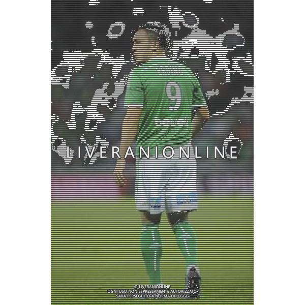Mevlut ERDING - 13.09.2014 - Saint Etienne / Caen - 5eme journee Ligue 1 Photo : Jean Paul Thomas / Icon Sport /Agenzia Aldo Liverani sas - ITALY ONLY - EDITORIAL USE ONLY