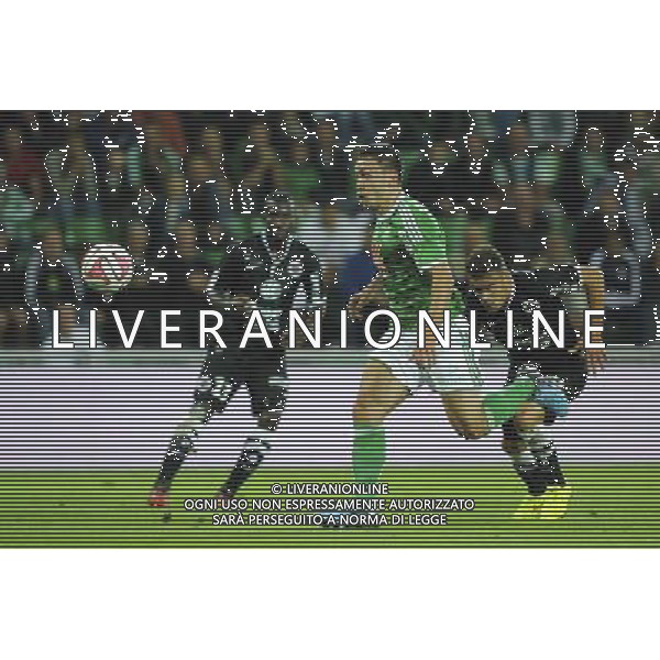Mevlut ERDING - 13.09.2014 - Saint Etienne / Caen - 5eme journee Ligue 1 Photo : Jean Paul Thomas / Icon Sport /Agenzia Aldo Liverani sas - ITALY ONLY - EDITORIAL USE ONLY