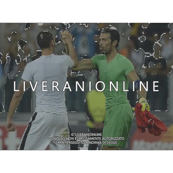 UEFA Champions League 2014/2015 Gruppo A Torino - 16.09.2014 Juventus-Malmo Nella Foto:buffon esulta con bonucci /Ph.Vitez-Ag. Aldo Liverani