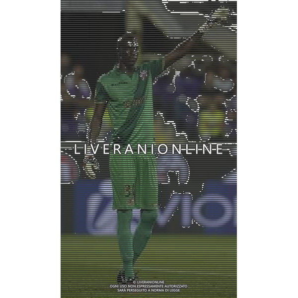 UEFA Europa League 2014/2015 Gruppo K Firenze - 18.09.2014 Fiorentina-Guingamp Nella Foto:Samassa Mamadou /Ph.Vitez-Ag. Aldo Liverani