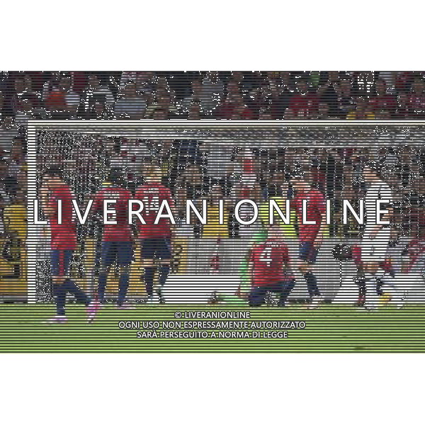 Deception Groupe Lille - 18.09.2014 - Europa League - Lille / Krasnodar Photo : Fred Porcu / Icon Sport /Agenzia Aldo Liverani sas - ITALY ONLY - EDITORIAL USE ONLY