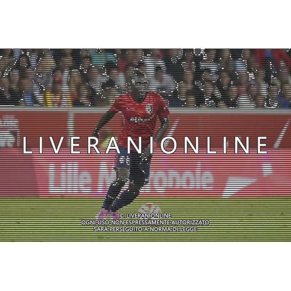 Idrissa Gana GUEYE - 18.09.2014 - Europa League - Lille / Krasnodar Photo : Fred Porcu / Icon Sport /Agenzia Aldo Liverani sas - ITALY ONLY - EDITORIAL USE ONLY