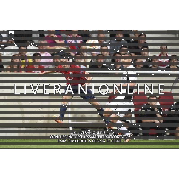 Sebastien CORCHIA - 18.09.2014 - Europa League - Lille / Krasnodar Photo : Fred Porcu / Icon Sport /Agenzia Aldo Liverani sas - ITALY ONLY - EDITORIAL USE ONLY