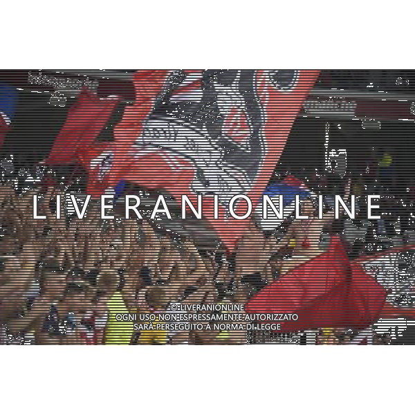 Supporters Lille - 18.09.2014 - Europa League - Lille / Krasnodar Photo : Fred Porcu / Icon Sport /Agenzia Aldo Liverani sas - ITALY ONLY - EDITORIAL USE ONLY