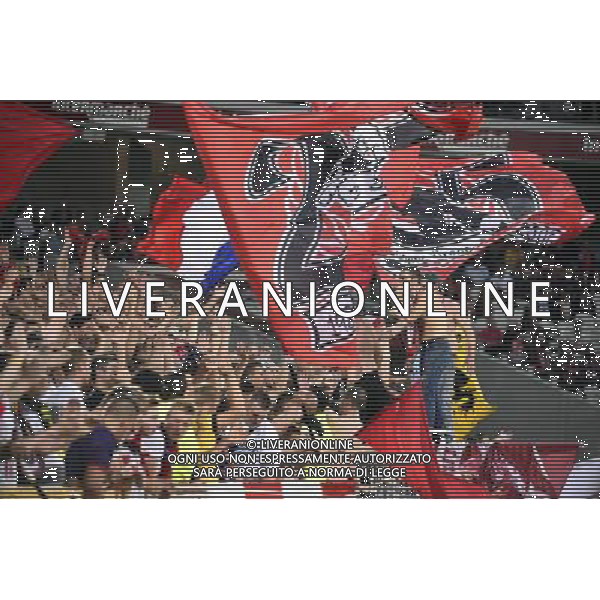 Supporters Lille - 18.09.2014 - Europa League - Lille / Krasnodar Photo : Fred Porcu / Icon Sport /Agenzia Aldo Liverani sas - ITALY ONLY - EDITORIAL USE ONLY