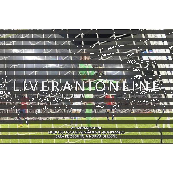 Vincent ENYEAMA - 18.09.2014 - Europa League - Lille / Krasnodar Photo : Fred Porcu / Icon Sport /Agenzia Aldo Liverani sas - ITALY ONLY - EDITORIAL USE ONLY