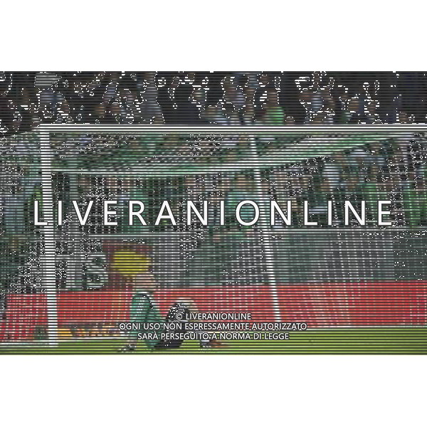Stephane RUFFIER - 25.09.2014 - Saint Etienne / Bordeaux - 7e journee de Ligue 1 Photo: Jean Paul Thomas / Icon Sport AG ALDO LIVERANI SAS ONLY ITALY